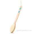 Personal Care & Household Cleaning Shower Brush with Soft and Stiff Bristles Manufactory